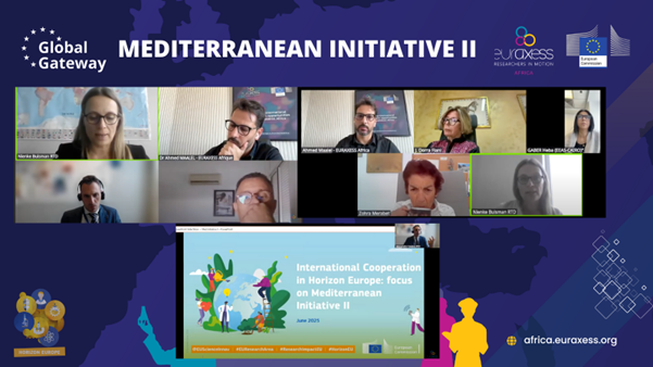 Screenshot from the webinar