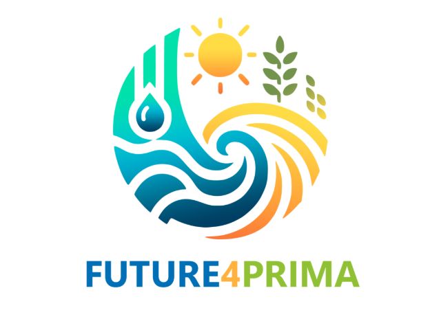 Future4PIRMA